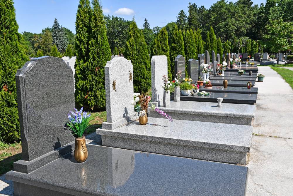 AdobeStock_295074957-min.jpeg